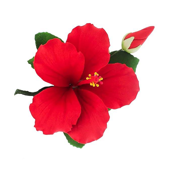 Global Sugar Art Hibiscus Sugar Cake Flowers Spray, Red Hawaiian Cake Flower Large, 1 Count by Chef Alan Tetreault