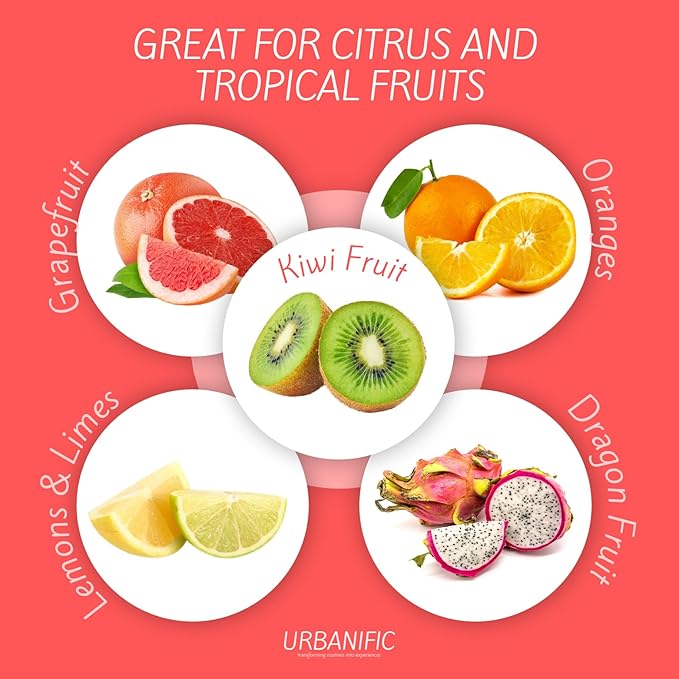 Grapefruit Spoons ??Serrated Edge Stainless Steel Spoons to Easily Cut Citrus Fruits like Grapefruit, Oranges & Kiwi ??Polished Finish, Dishwasher Safe - 2 Pack