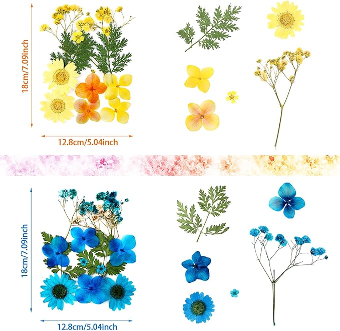 Nuanchu Pressed Flowers Bulk Dried Flower for Crafts, Dried Wildflowers Leave Natural with Tweezer for Resin Mold Scrapbooking Nail Soap Making DIY(Colorful Style,Mixing Color)