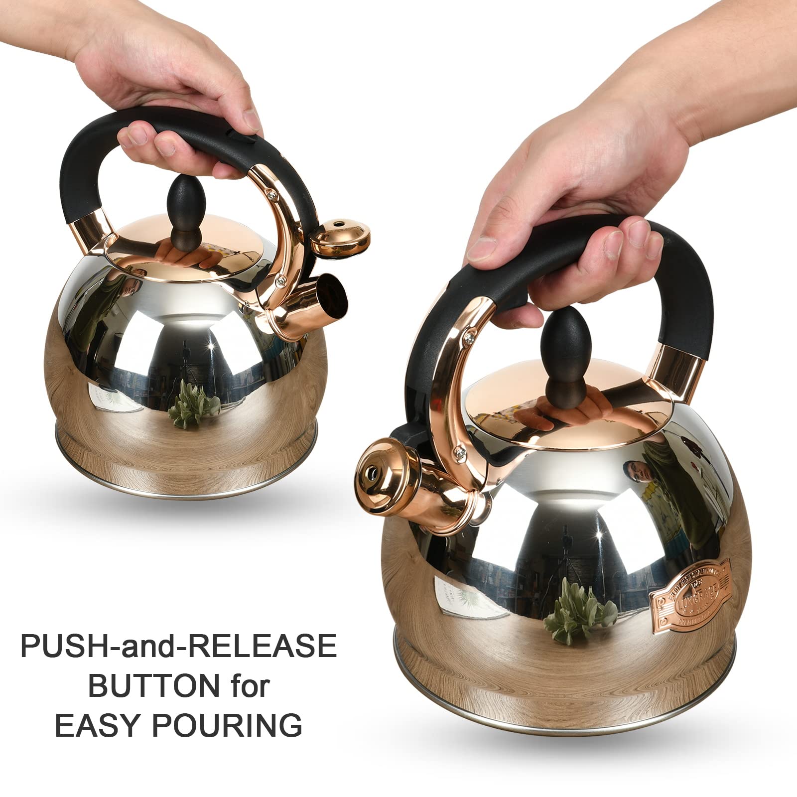 Stainless Steel Whistling Tea Kettle with Metal Capsulated Bottom for Quick Heat Distribution 2.8