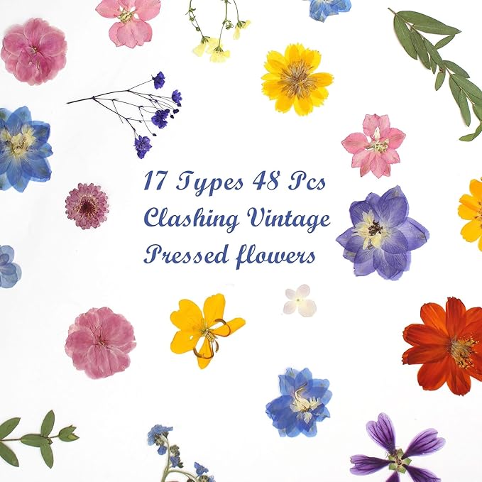 17 Types Retro Dried Pressed Flowers Leaf Plant Herbarium for DIY Resin Jewelry Making Floral Decors(Muti Color)
