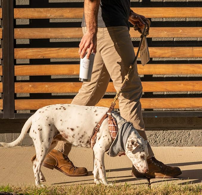 Grounds & Hounds Morning Walk Breakfast Blend - 100% Organic Whole Bean Medium-Light Roast Coffee, 2lbs
