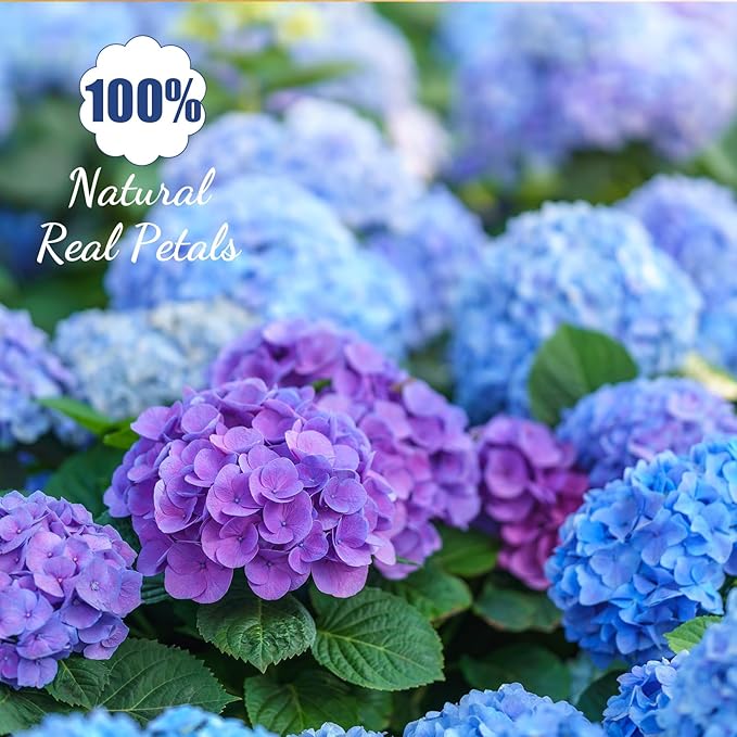 96 Pcs Natural Dried Pressed Edible Flowers for Cake Topper Decorating Cupcake Toppers Cocktails Resin Jewelry Making DIY Art Crafts(Blue,Flower Style)