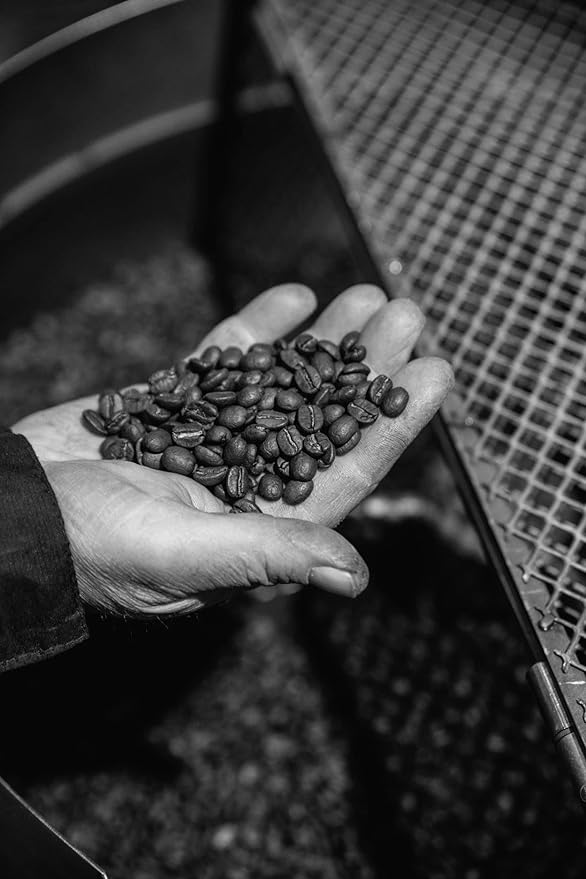 Bristot L?˜americano Filter Coffee | Italian Coffee Beans | 100% Arabica | Dark Roast | 2.2lbs/1kg - 6 Bags