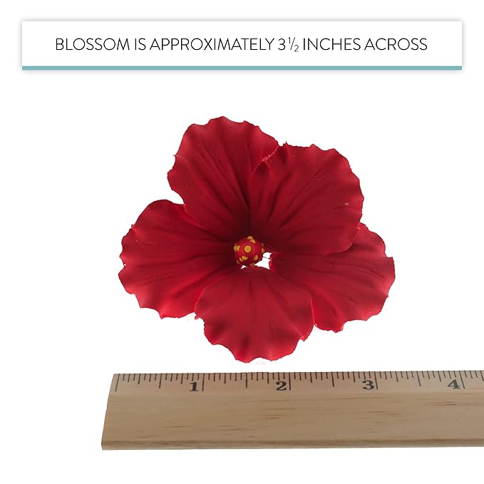 Global Sugar Art Hibiscus Sugar Cake Flowers, Red, Hawaiian Cake Flower Large 3 Count by Chef Alan Tetreault