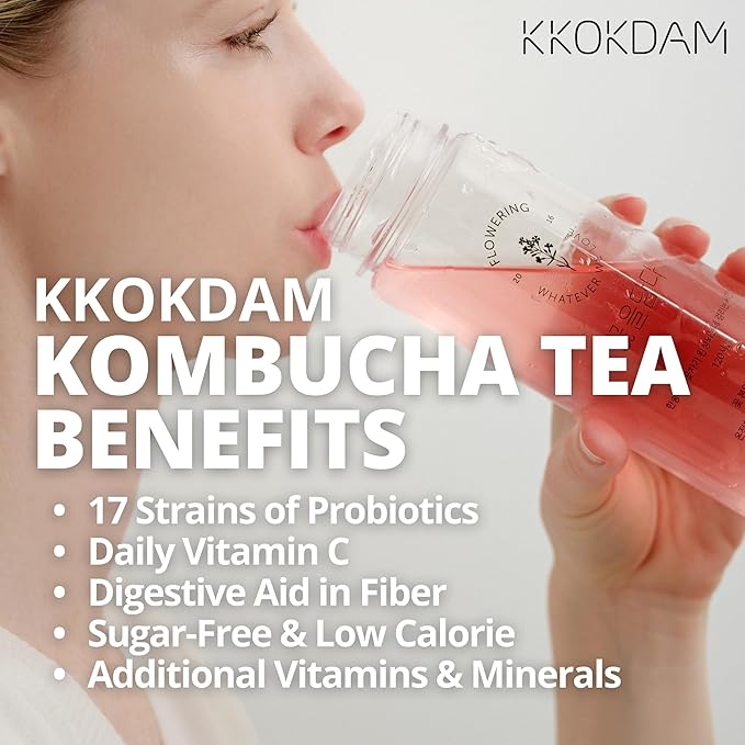 KKOKDAM Kombucha Tea - Lemon & Chrysanthemum Korean Tea - Kombucha Drinks Probiotic Support, Low Calorie, Sugar Free Kombucha Pack - 500g Bulk Pouch