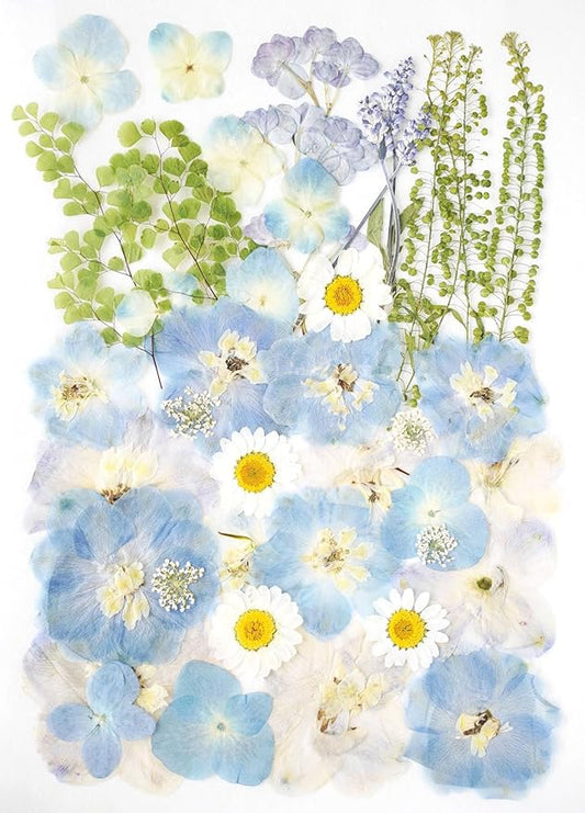 Real Dried Pressed Flowers Leaf Plant Herbarium for Crafts Resin Jewelry Making, Floral Cake Decorations-Fog Blue