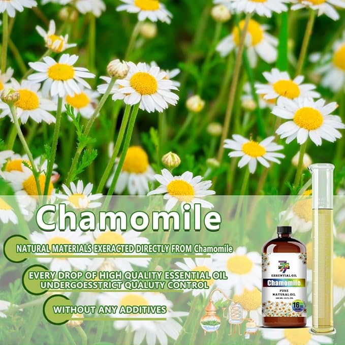 Chamomile Essential Oil (16 oz / 480 ml) ??Chamomile Oils for diffusers, humidifiers, Home Baths, Cleaning Products, Yoga, DIY Soaps and DIY Scented Candles
