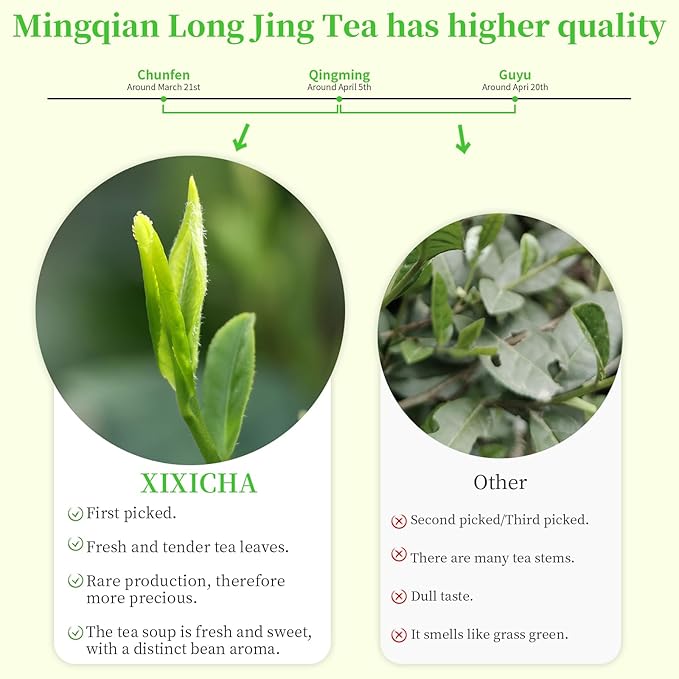 XIXICHA Longjing Tea New Tea Grade AAA Dragon Well Green Tea Loose Leaf Hangzhou Dragonwell Chinese Green Tea Fresh Bean Aroma 榕쇾?????š¤???롥뎺榕쇾????¹뤆 4.23oz/120g
