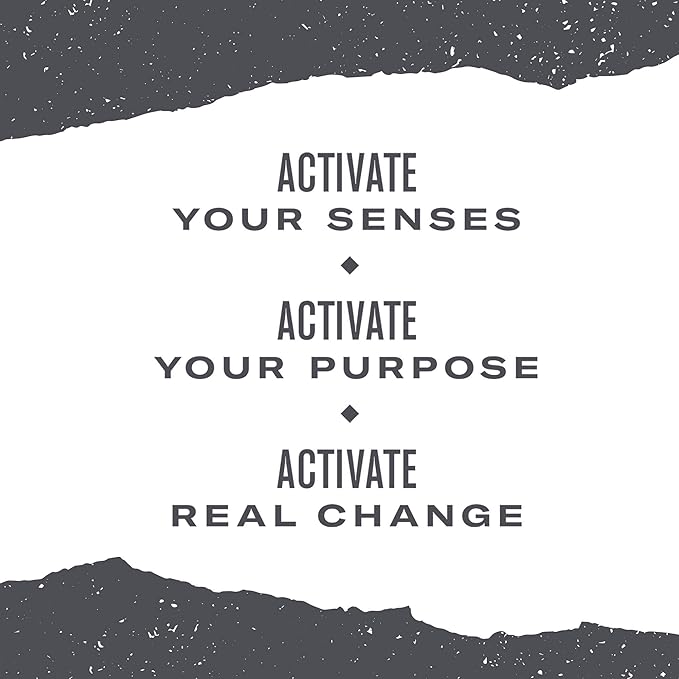 Numi Organic Golden Chai Tea, 18 Tea Bags, Assam Black Tea, Cardamom, Ginger & Anise (Packaging May Vary)