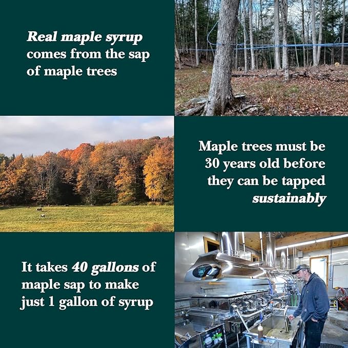 Vermont Maple Syrup's Organic Coarse Vermont Maple Sugar, 1 lb - Subtle Maple Syrup Sweetness, Perfect Sugar Substitute for Baking, Coffee, and Oatmeal