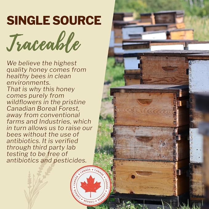 Oneroot 100% Canadian Flower Honey - Honey Wildflower Unfiltered, Unheated & Creamed, Nutrient Rich Raw Wildflower With Enzymes, Thick Natural Sweetener (6.6 lbs)