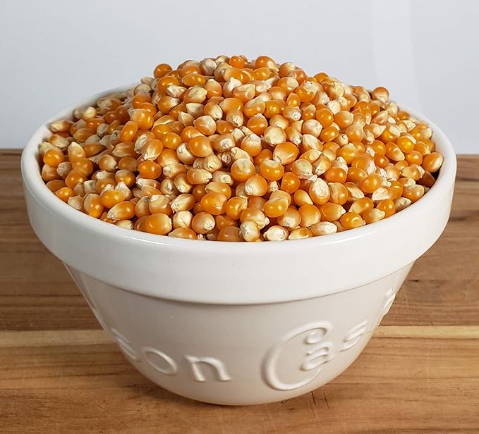 Princeton Popcorn Mushroom Popcorn Kernels Extra Large - Easy-Eating, Farmer Direct Non-GMO Gluten Free Bulk Popping Corn, Popcorn Kernels for Oil Pop or Hot Air, Microwave Air Popper or Stovetop 50lb Bag