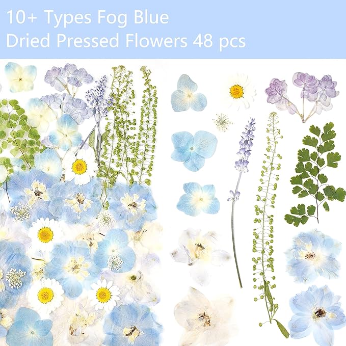 Real Dried Pressed Flowers Leaf Plant Herbarium for Crafts Resin Jewelry Making, Floral Cake Decorations-Fog Blue