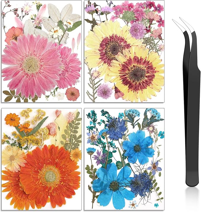Nuanchu Pressed Flowers Bulk Dried Flower for Crafts, Dried Wildflowers Leave Natural with Tweezer for Resin Mold Scrapbooking Nail Soap Making DIY(Sweet Style,Harmony Color)