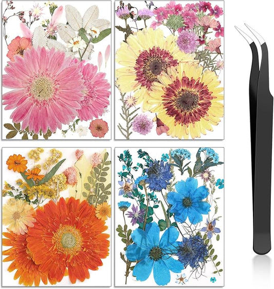 Nuanchu Pressed Flowers Bulk Dried Flower for Crafts, Dried Wildflowers Leave Natural with Tweezer for Resin Mold Scrapbooking Nail Soap Making DIY(Sweet Style,Harmony Color)