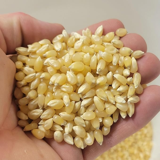 Princeton Popcorn Baby White Popcorn Kernels, Tender & Small, Non GMO, Hulless, Farmer Direct, Gluten Free, 2lb Bag for Popping, Ideal for Oil Popcorn Popper, Microwave Popcorn or Air Popper