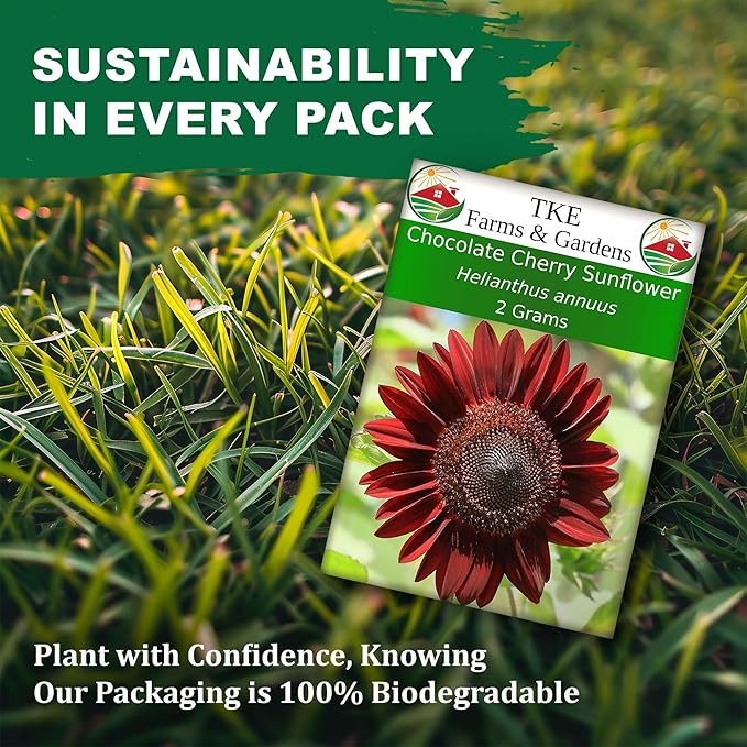 TKE Farms & Gardens - Chocolate Cherry Sunflower Seeds for Planting, 50+ Heirloom Non-GMO Seeds, Easy to Grow, Includes Planting Instructions, Enjoy Stunning Deep Red Blooms