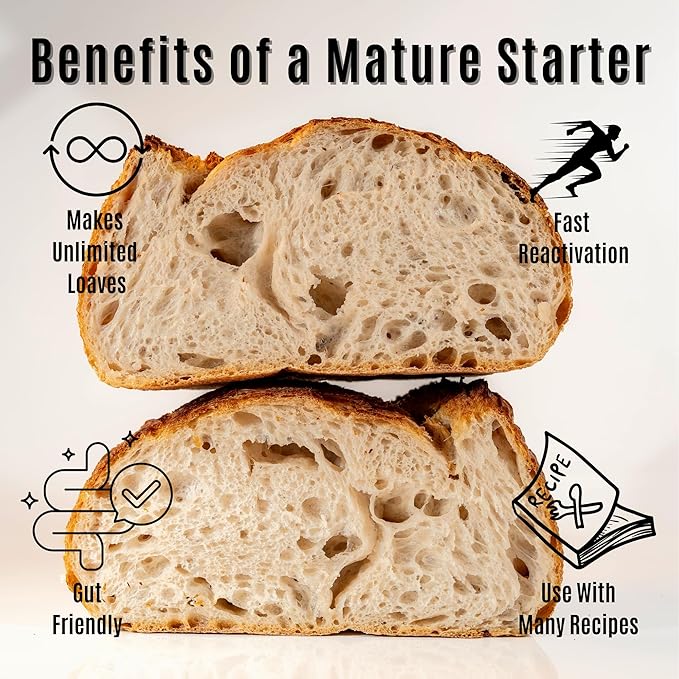 Dehydrated Sourdough Starter by Made With Loave | INCLUDES Recipe | Beginner Friendly | As Seen On TikTok | 5g