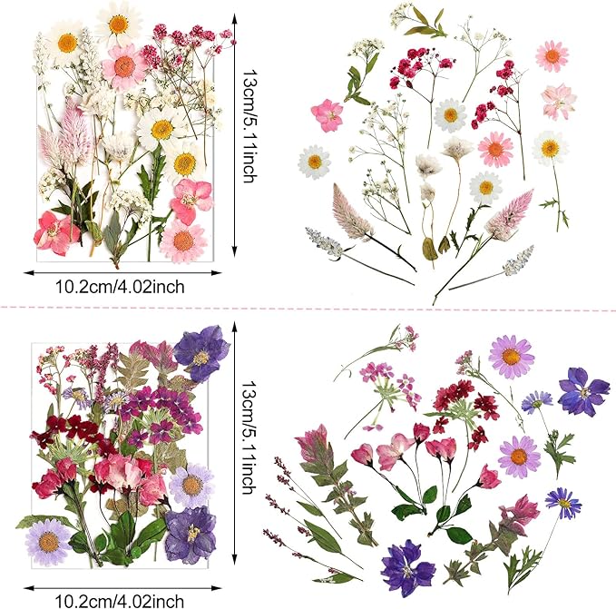 Nuanchu Pressed Flowers Bulk Dried Flower for Crafts, Dried Wildflowers Leave Natural with Tweezer for Resin Mold Scrapbooking Nail Soap Making DIY(Delicate Style,Bright Colors)