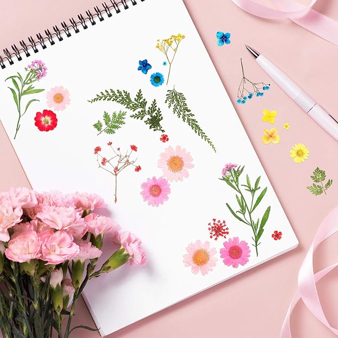 Nuanchu Pressed Flowers Bulk Dried Flower for Crafts, Dried Wildflowers Leave Natural with Tweezer for Resin Mold Scrapbooking Nail Soap Making DIY(Colorful Style,Mixing Color)