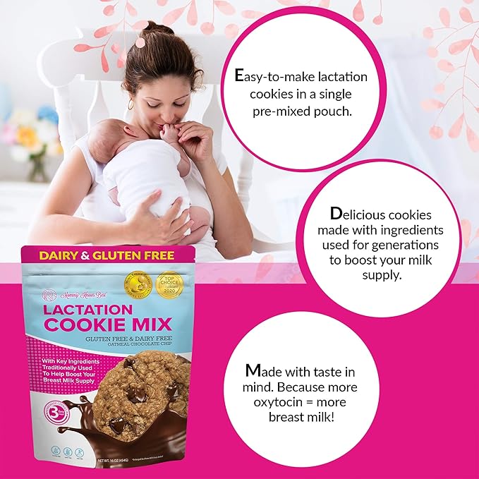 Lactation Cookies Mix - Gluten Free and Dairy Free Oatmeal Breastfeeding Cookie Supplement Support for Breast Milk Supply Increase (Chocolate Chip, 1 Pound)