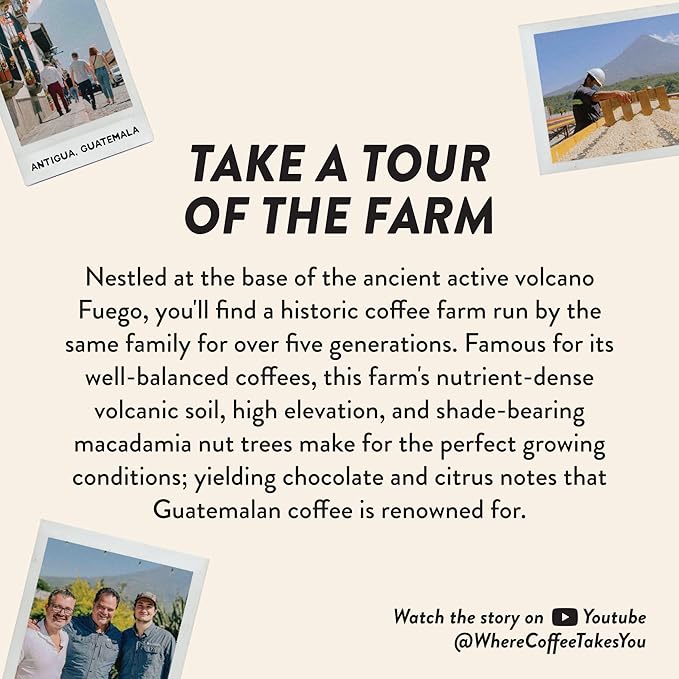Angelino's Coffee Breakfast Blend Coffee, 12oz Ground, Medium Roast Reserve, Guatemalan Guatemala Coffee with Chocolate Notes, Hints of Caramel and Citrus, Premium Experience - Breakfast in Antigua