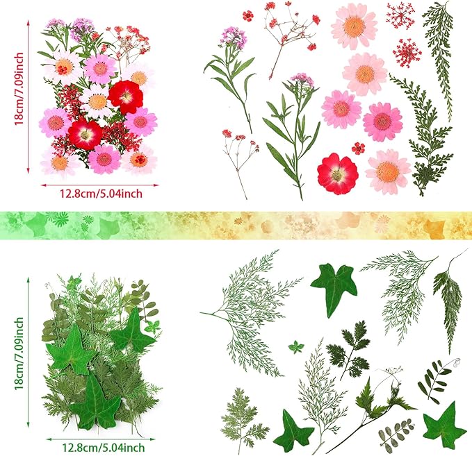 Nuanchu Pressed Flowers Bulk Dried Flower for Crafts, Dried Wildflowers Leave Natural with Tweezer for Resin Mold Scrapbooking Nail Soap Making DIY(Colorful Style,Mixing Color)