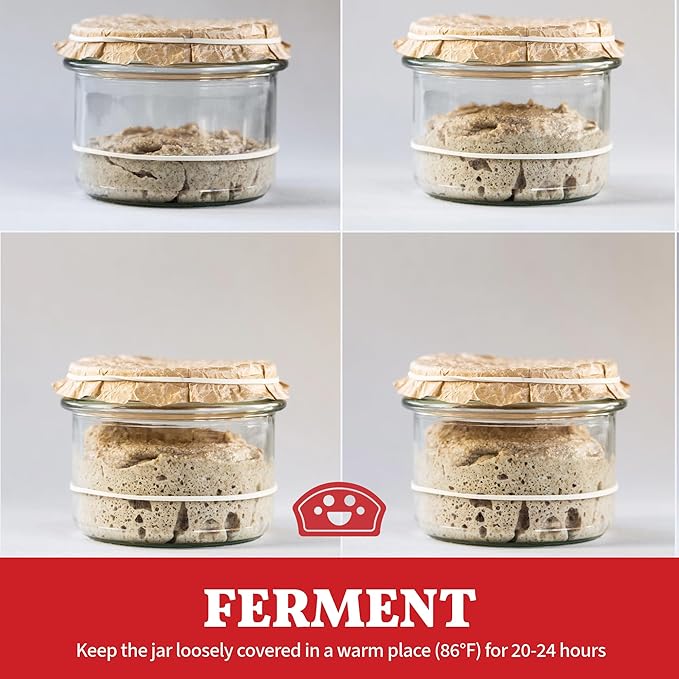 Bakers Club Rapid 24-Hour Sourdough Starter Culture - Makes 5 Batches - Mix, Ferment & Bake Next Day - Tangy Flavor without Weeks of Waiting - Best Dehydrated Sour Dough Starter for Home Bread Bakers