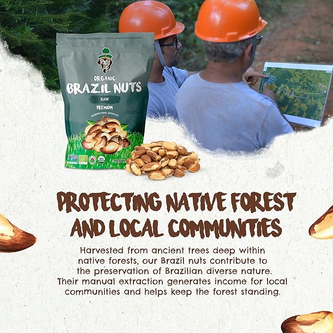 Snack The True Organic Brazil Nuts 7 oz – Raw and Unsalted – Kosher – Healthy-Rich in Vegetable Protein – Harvested in Amazon Rainforest – Fresh, Vegan and Gluten Free – Forest Up