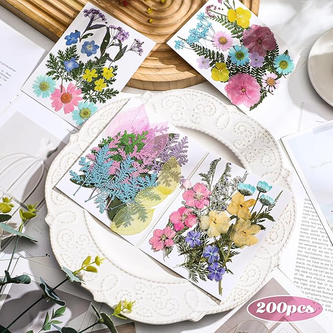 Nuanchu Pressed Flowers Bulk Dried Flower for Crafts, Dried Wildflowers Leave Natural with Tweezer for Resin Mold Scrapbooking Nail Soap Making DIY(Pastel Style,Pastel Color)