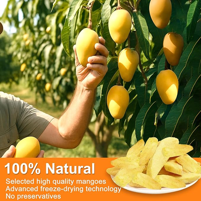 5 Oz Premium Freeze-Dried Mango Sliced, Freeze Dried Fruit Mangoes, Crunchy Natural Snack with Low Calories, Fresh Mango-Chips, Fruit Snacks for Kids, Travel, Smoothie, Yogurt, Baked Goods, Holiday Gifts