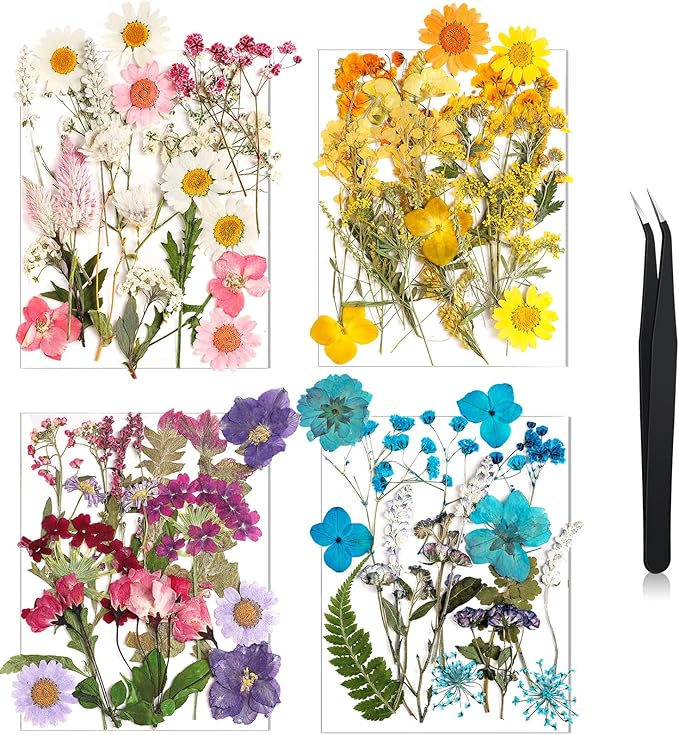 Nuanchu Pressed Flowers Bulk Dried Flower for Crafts, Dried Wildflowers Leave Natural with Tweezer for Resin Mold Scrapbooking Nail Soap Making DIY(Delicate Style,Bright Colors)