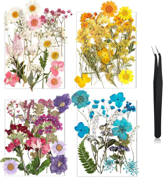 Nuanchu Pressed Flowers Bulk Dried Flower for Crafts, Dried Wildflowers Leave Natural with Tweezer for Resin Mold Scrapbooking Nail Soap Making DIY(Delicate Style,Bright Colors)