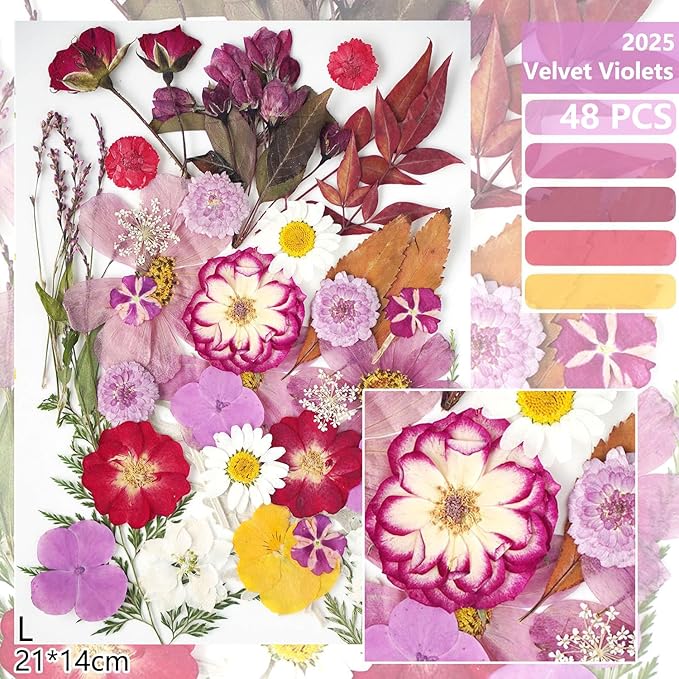 18Types 48PCS Real Dried Purple Pressed Flowers Leaf Plant Herbarium for Crafts Resin Jewelry Making, Floral Cake Decorations-Violet