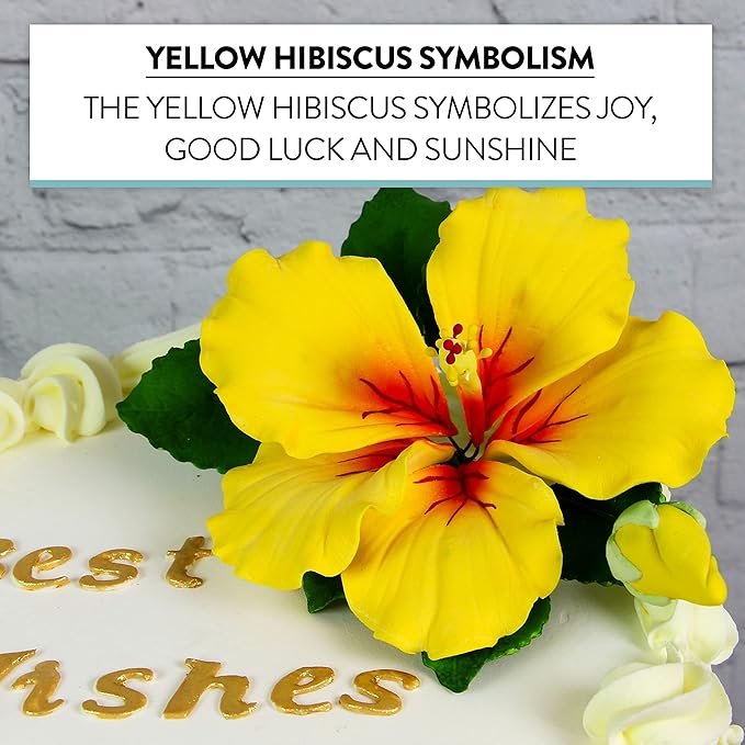 Global Sugar Art Hibiscus Sugar Cake Flowers Spray, Yellow Hawaiian Cake Flower Large. 1 Count by Chef Alan Tetreault