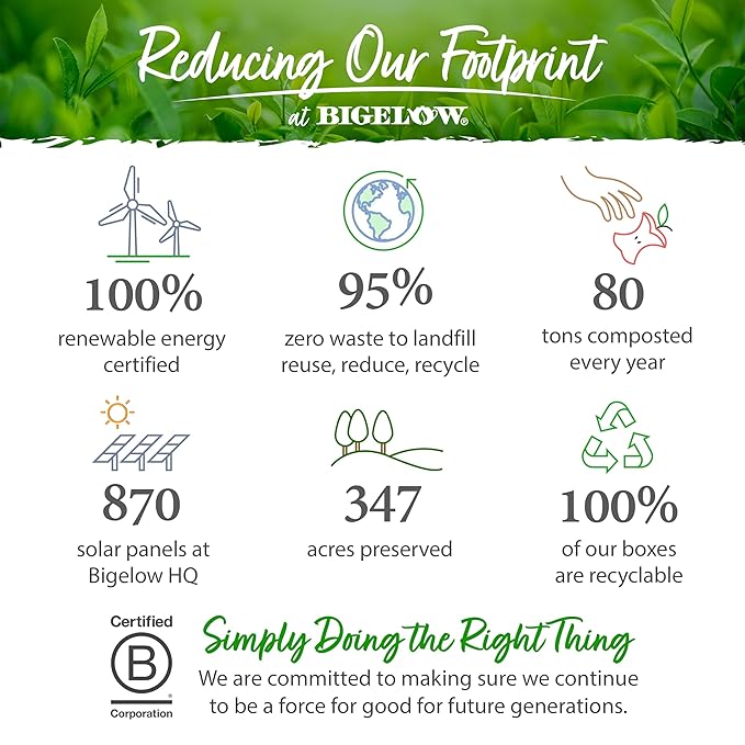 Bigelow Tea Green Tea with Mint, Caffeinated, 120 Count