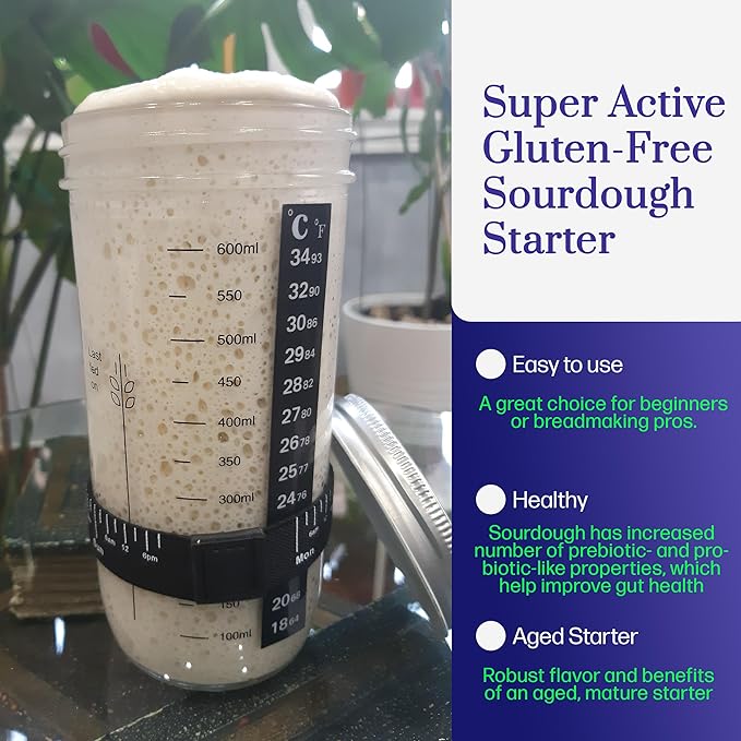 Gluten Free Sourdough Starter - 100+ Year Old Dehydrated Heirloom Style Sourdough Starter Kit for Sourdough Bread, Pizza, Buns, Pancakes, Muffins | Easy to Use | Beginner Friendly