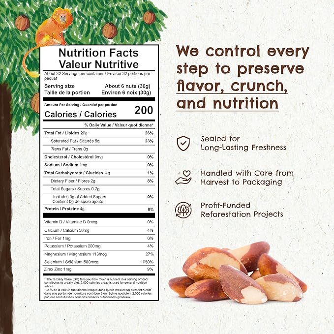 Snack The True Organic Brazil Nuts Medium Size 32 oz-2lbs – Raw and Unsalted – Kosher – Healthy-Rich in Vegetable Protein – Harvested in Amazon Rainforest – Fresh, Vegan and Gluten Free – Forest Up