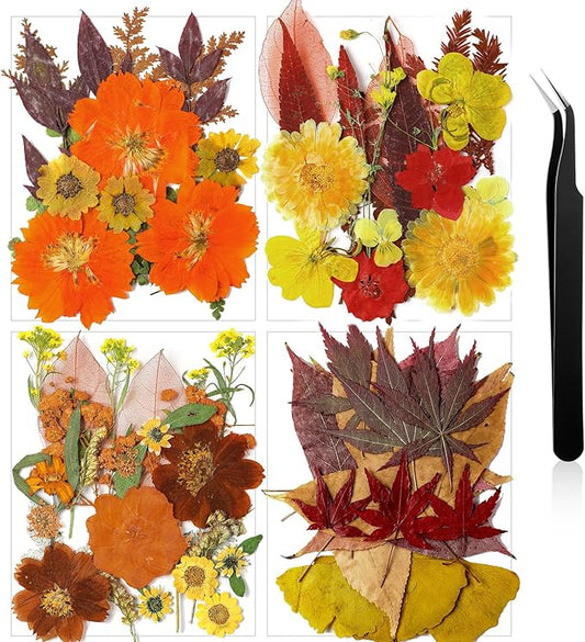 Nuanchu Pressed Flowers Bulk Dried Flower for Crafts, Dried Wildflowers Leave Natural with Tweezer for Resin Mold Scrapbooking Nail Soap Making DIY(Fall Style,Vivid Color)