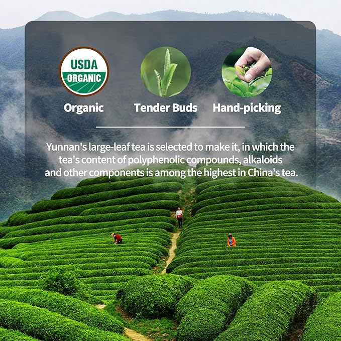 KHS Organic Black Tea Grade AAA (Super Grade), 3.17 OZ Chinese Yunnan Black Tea Loose Leaf, No Dust Production Workshop, Natural Organic Planting Loose Leaf Tea Perfect for Hot Brew, Dian Hong