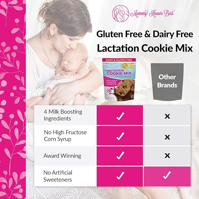 Lactation Cookies Mix - Gluten Free and Dairy Free Oatmeal Breastfeeding Cookie Supplement Support for Breast Milk Supply Increase (Chocolate Chip, 1 Pound)