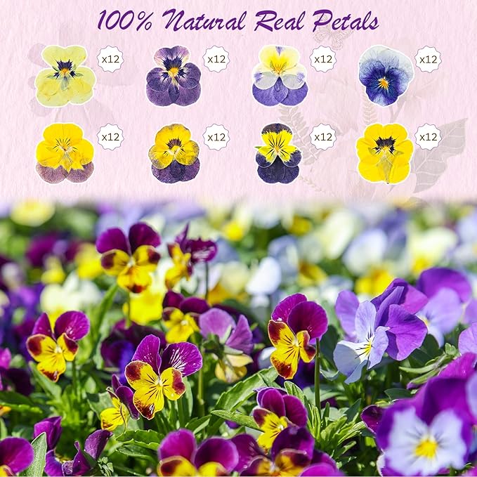 96 Pcs Natural Dried Pressed Edible Flowers for Cake Topper Decorating Cupcake Toppers Cocktails Resin Jewelry Making DIY Art Crafts(Purple,Flower Style)