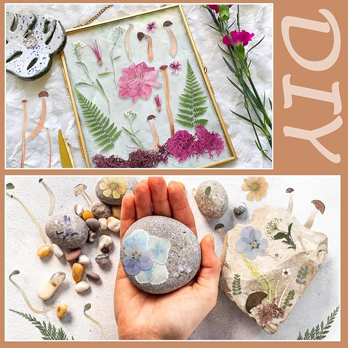 Nuanchu Pressed Flowers Bulk Dried Flower for Crafts, Dried Wildflowers Leave Natural with Tweezer for Resin Mold Scrapbooking Nail Soap Making DIY (Mushroom Style,Original Color)