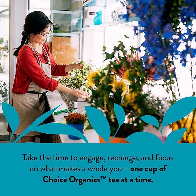 Choice Organic Teas White Elderflower Tea - Organic White & Green Tea - 16 Tea Bags (Pack of 1)