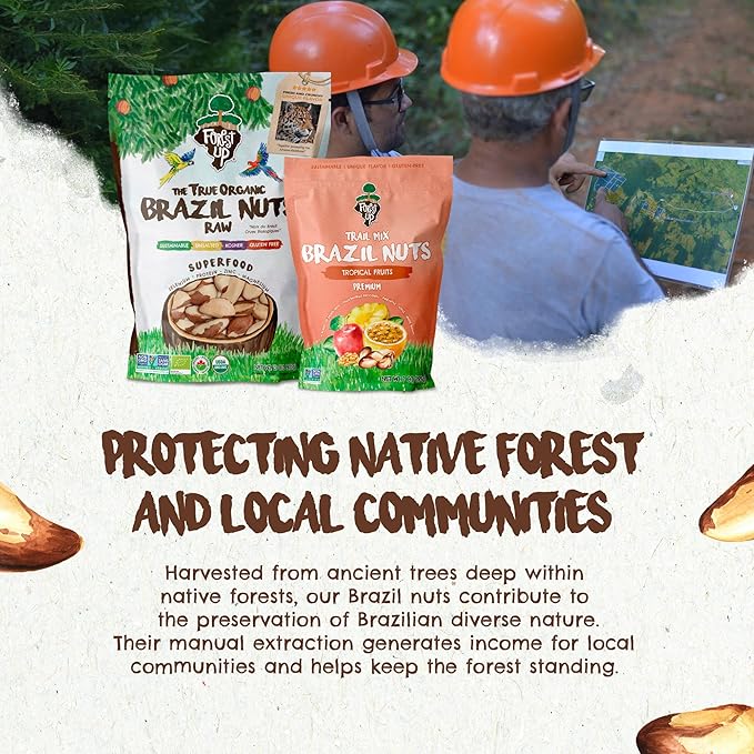 Kit of Snacks The True Organic Brazil Raw & Unsalted Nuts 15 oz + Tropical Mix 7 oz – – Nutrient-Rich and Practical Combo – Fresh, Vegan and Gluten Free – Forest Up