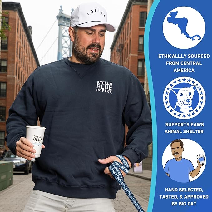 Stella Blue Cold Brew Coffee Packets, Electric Avenue Blend, Dark Roast Ground Coffee, Toffee, Dark Chocolate, and Subtle Smokey Notes, 100% Arabica, 6 Brew Packets, Makes 24 Bold Cups