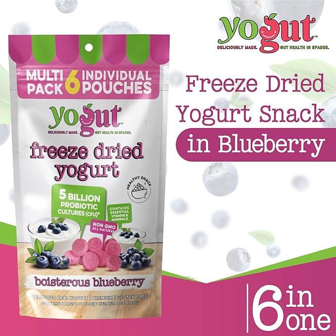 YoGut Freeze Dried Yogurt Snack, Blueberry, 6 Pack, Healthy Snacks for Kids, Toddlers & Adults, Gluten Free, Non GMO, With 5 Billion Live Probiotics, Vitamins & Minerals, Individual Snack Packs