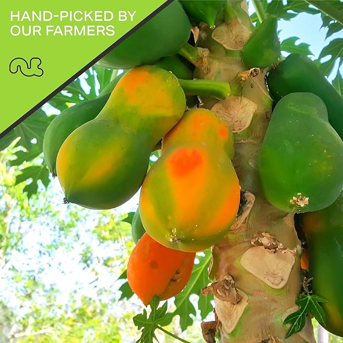 NUT CRAVINGS - Sun Dried Papaya Chunks, Lightly Sweetened (8oz, 1 Pack) Bulk Dry Fruits Packed Fresh in Resealable Bag - Sweet Healthy Snack, Naturally Grown, Vegan, Kosher