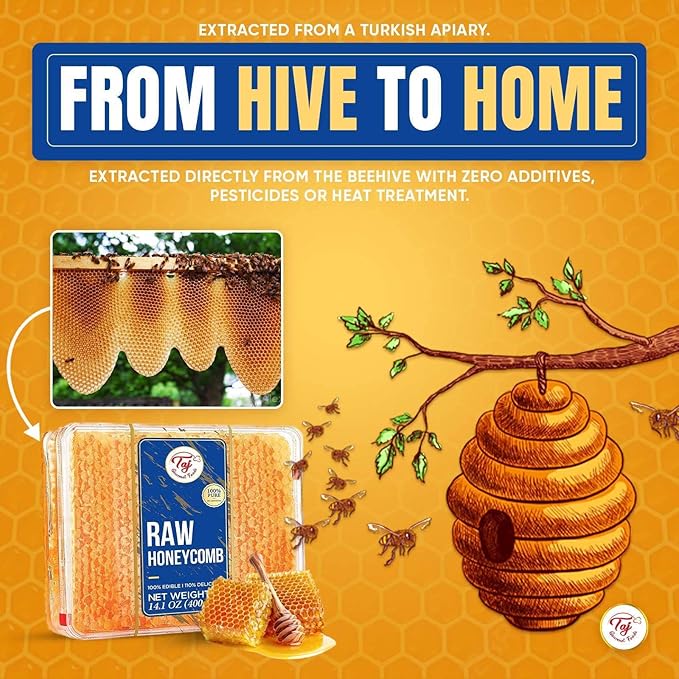 Great Bazaar All natural Raw Honeycomb 100% Honey Pure Turkish Raw Honey Comb - Honey Combs Raw Edible - Honey With Honeycomb 400g (14.10oz)